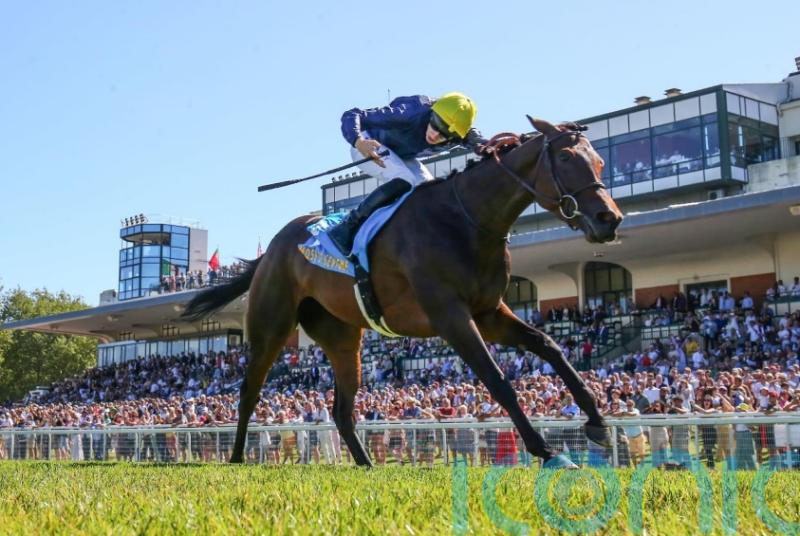 Fabre plotting repeat route with Mqse De Sevigne