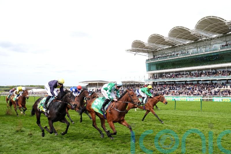 Woodhay Wonder bidding to plunder another big prize