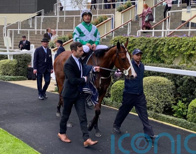 Millman hoping for Adaay to remember at Sandown