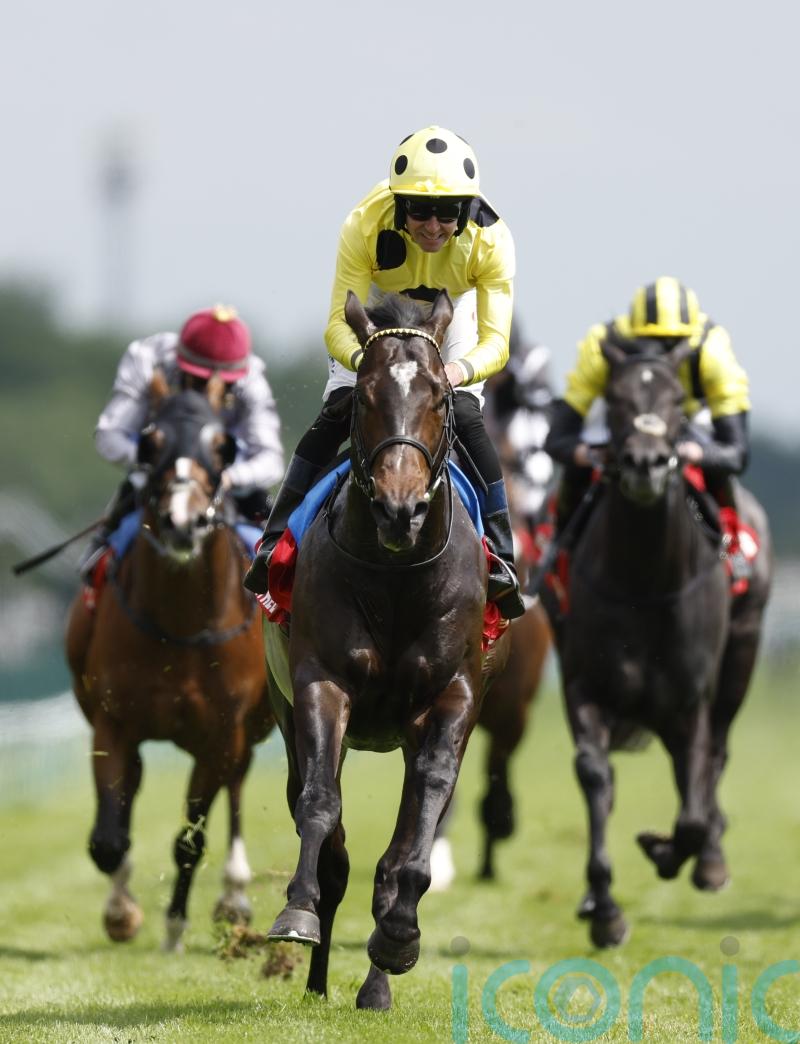 Inisherin joins cracking line-up for Commonwealth Cup