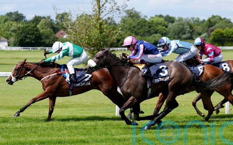 Adaay in the sun well deserved for teak-tough Millman filly