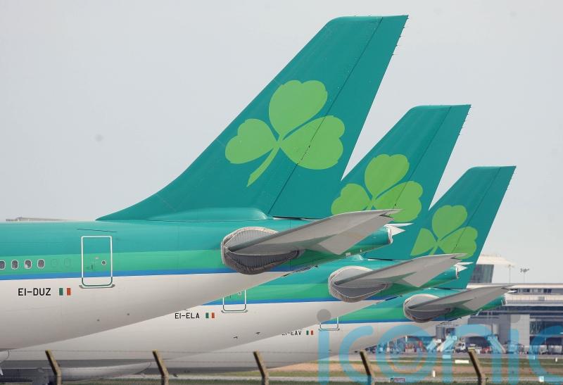 Minister urges Aer Lingus and union to &lsquo;get around the table&rsquo; and avoid strikes