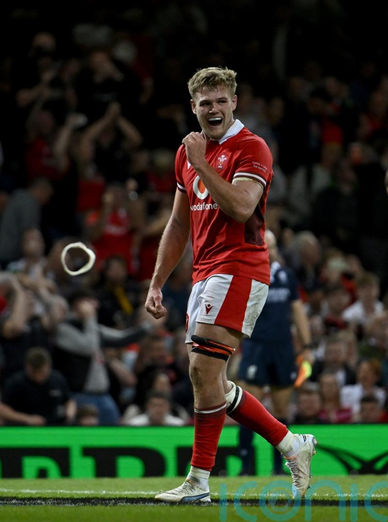 Taine Plumtree convinced Wales have &lsquo;nothing to lose&rsquo; in Springboks showdown