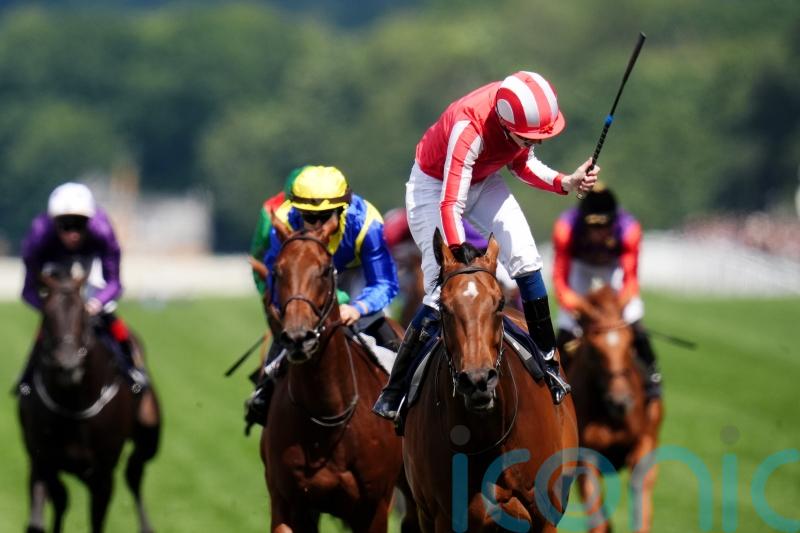 First success is the sweetest for emotional Shepherd