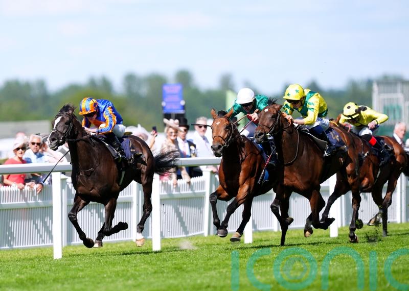 York trip could be on the Horizon for Dore