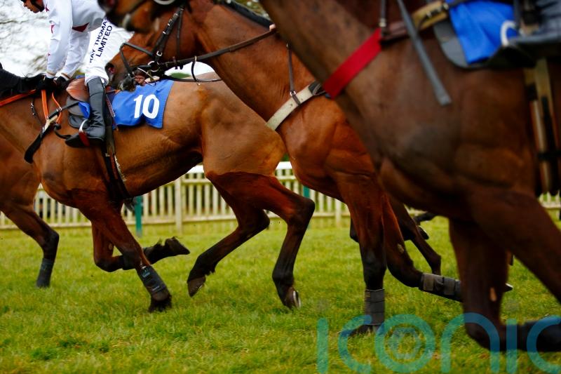 BBC Radio 4 drop daily racing tips