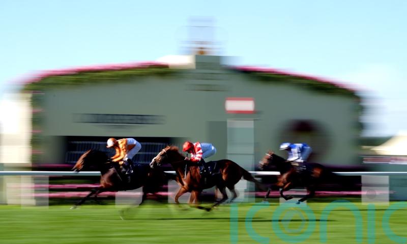 Charlton rues the one that got away with King&rsquo;s Gambit a York possible