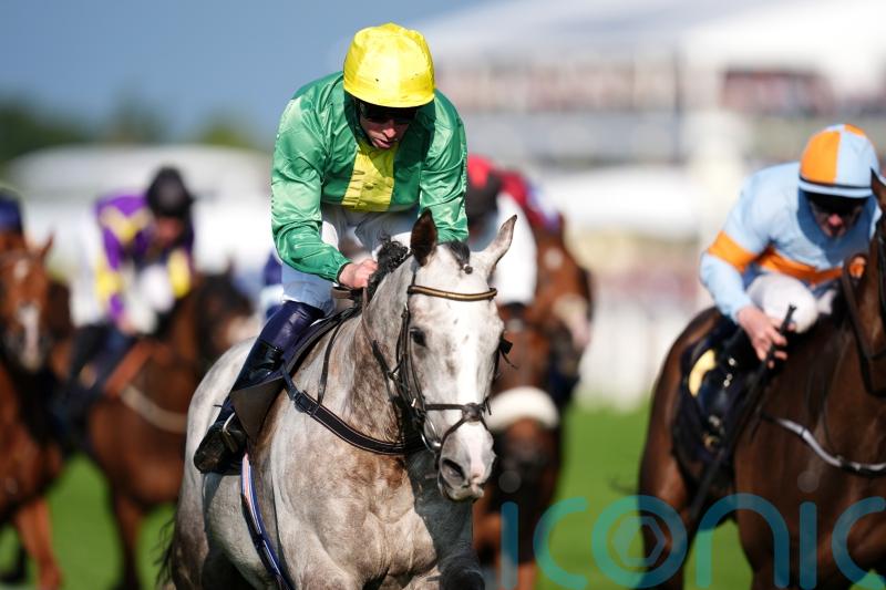 Belloccio could be set for Supreme adventure after hurdling return at Galway