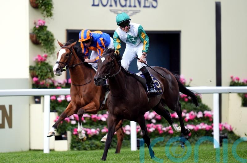 Porta Fortuna &lsquo;in great form&rsquo; and set for Falmouth tilt