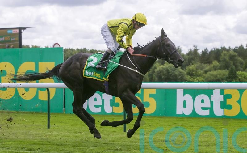 Align The Stars shines to demonstrate his promise at Haydock