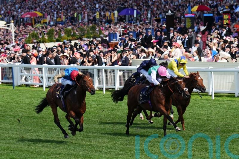 Kikkuli backed to strike after Deauville outing