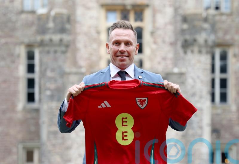 New Wales boss Craig Bellamy out to prove concerns over temperament unfounded