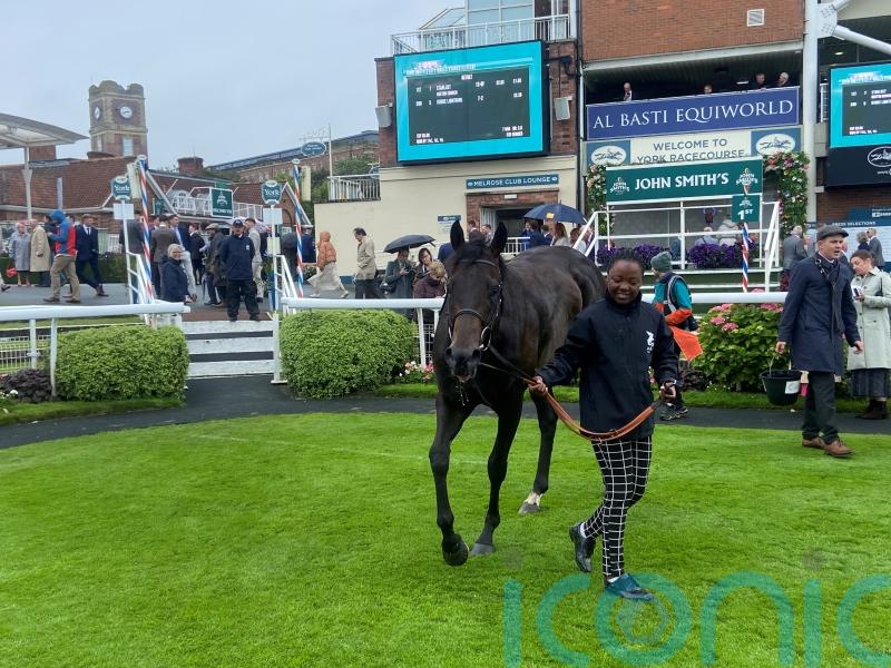 Starlust comes home strongly to land City Walls win