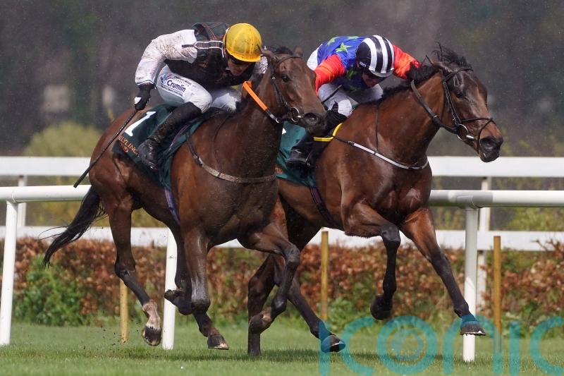 Leopardstown and Paris options for A Lilac Rolla