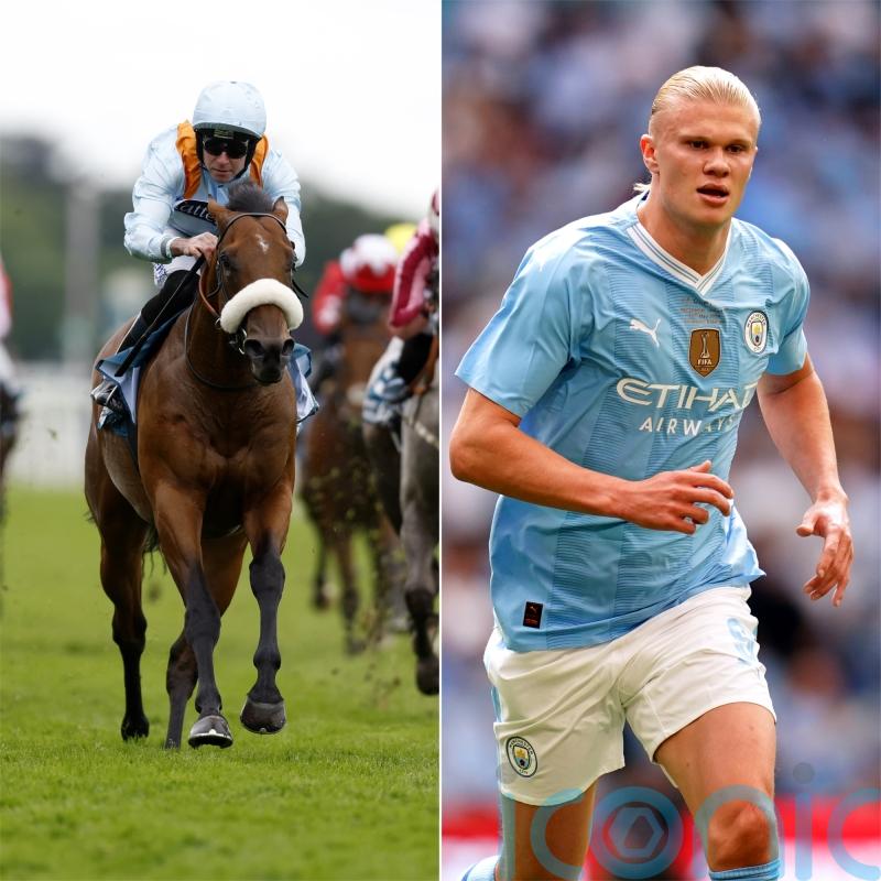 The Strikin Viking makes Wathnan Racing transfer