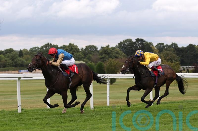 Palmer looking for It Ain&rsquo;t Two to hit the back of the net