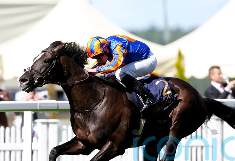 All systems go for Auguste Rodin in the King George