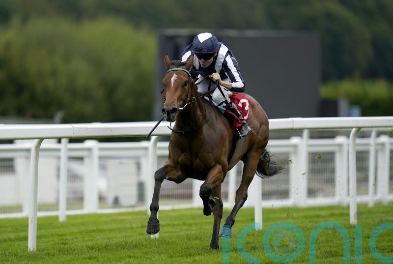 Celestial Orbit looks out of this world in Star Stakes