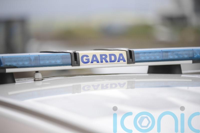 15 dead roosters found in cockfighting probe