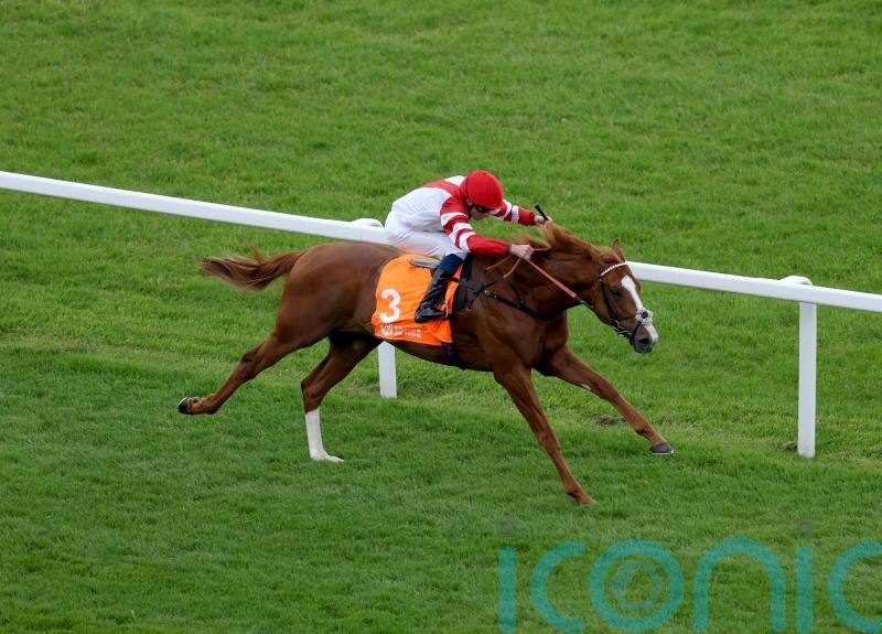 King&rsquo;s Gambit in line for possible York return following narrow reverse