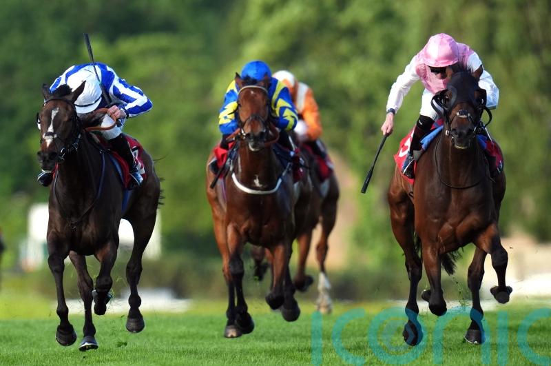 Caius Chorister relishing drop in trip for Lillie Langtry tilt