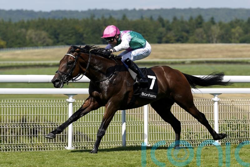 Lead Artist shines under Shoemark at Goodwood