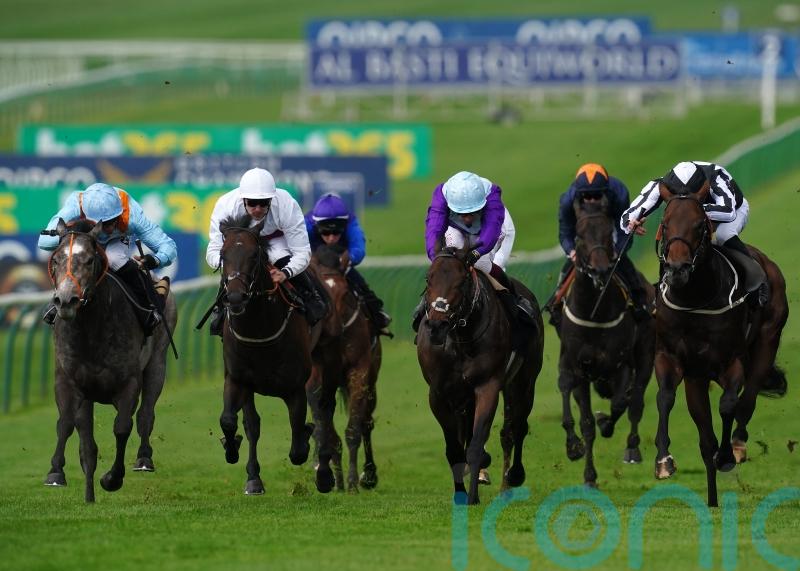 Gheest glory would be well deserved for Shouldvebeenaring