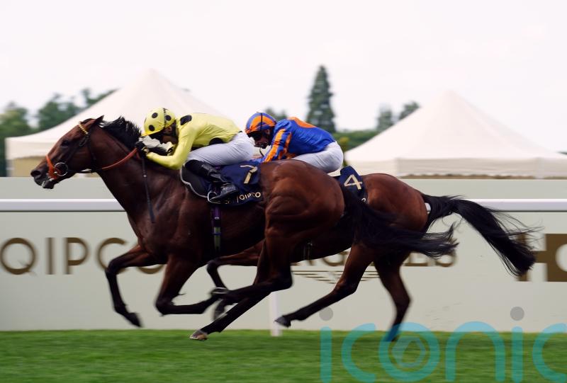 2024 return not ruled out for Rosallion following Goodwood absence