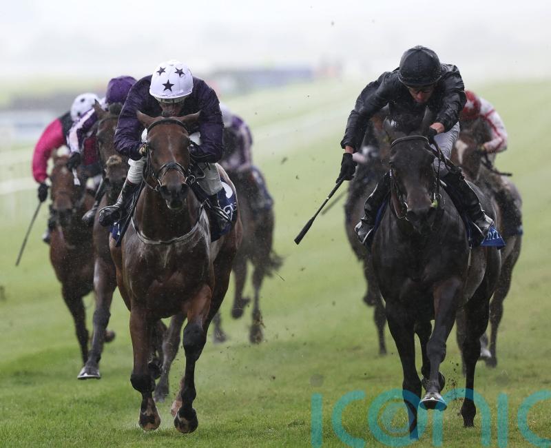 California Dreamer being primed for Moyglare task