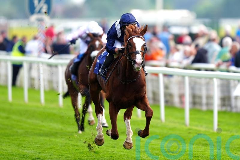 All eyes will be on Economics at Deauville on Thursday