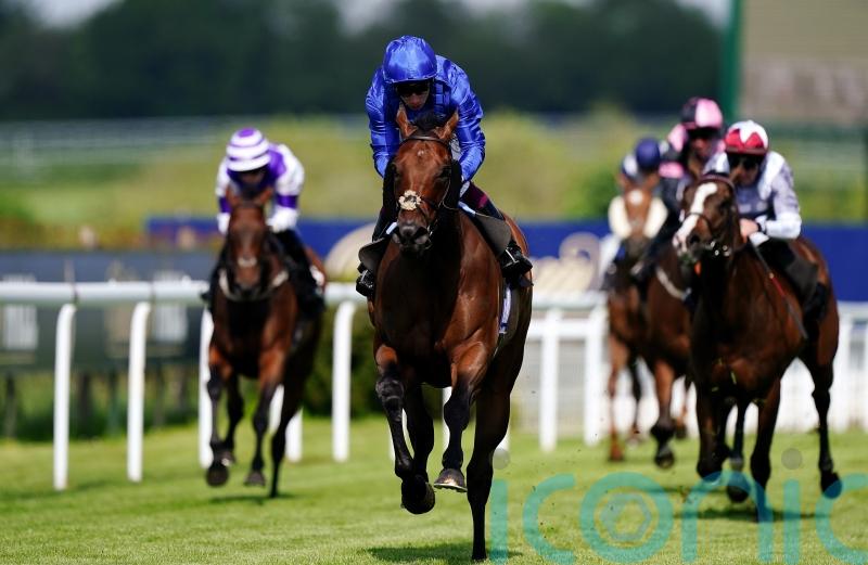 Wild Tiger set to hunt for Bahrain riches this winter