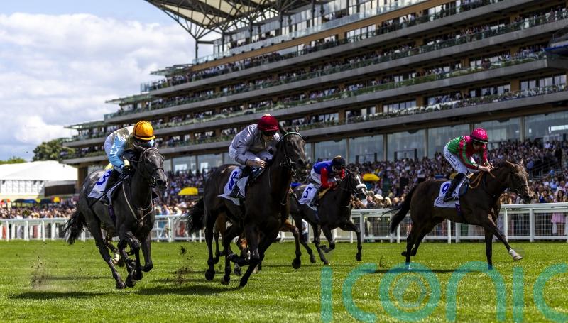 Simmering all set to move up in trip at Deauville