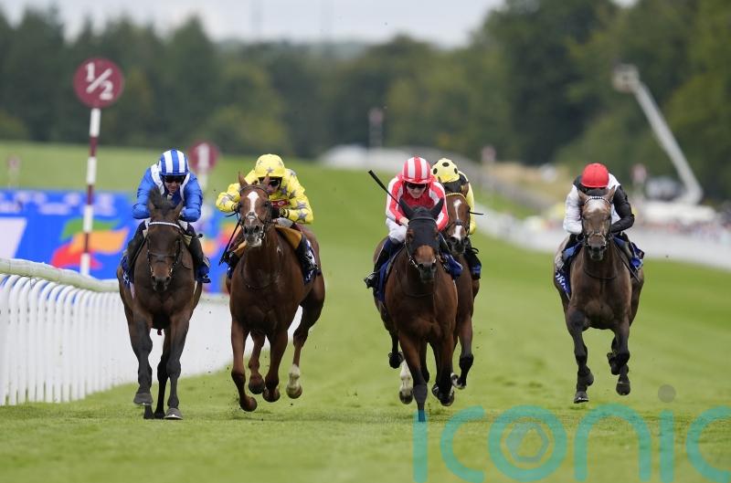 Al Aasy and Al Qareem do battle again for Geoffrey Freer honours