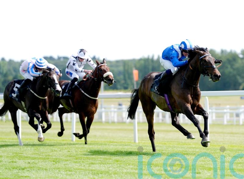 Nice and easy for Al Aasy in Geoffrey Freer stroll