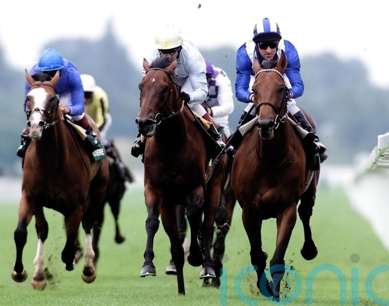 &lsquo;Beautiful&rsquo; Nayef is still the apple of Marcus Tregoning&rsquo;s eye