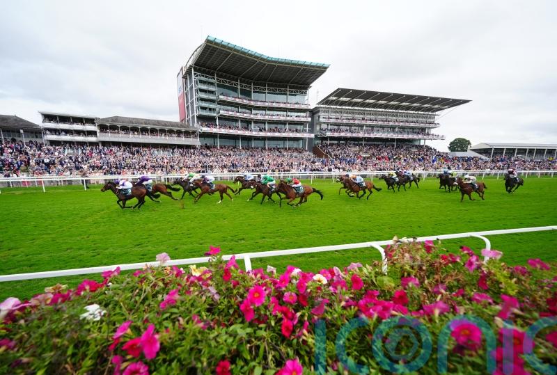 Diligently does it for Clive Cox again in big sales race