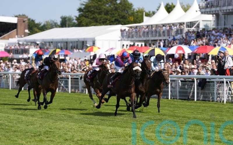 Big Evs and Asfoora all set for &lsquo;grand final&rsquo; in Nunthorpe