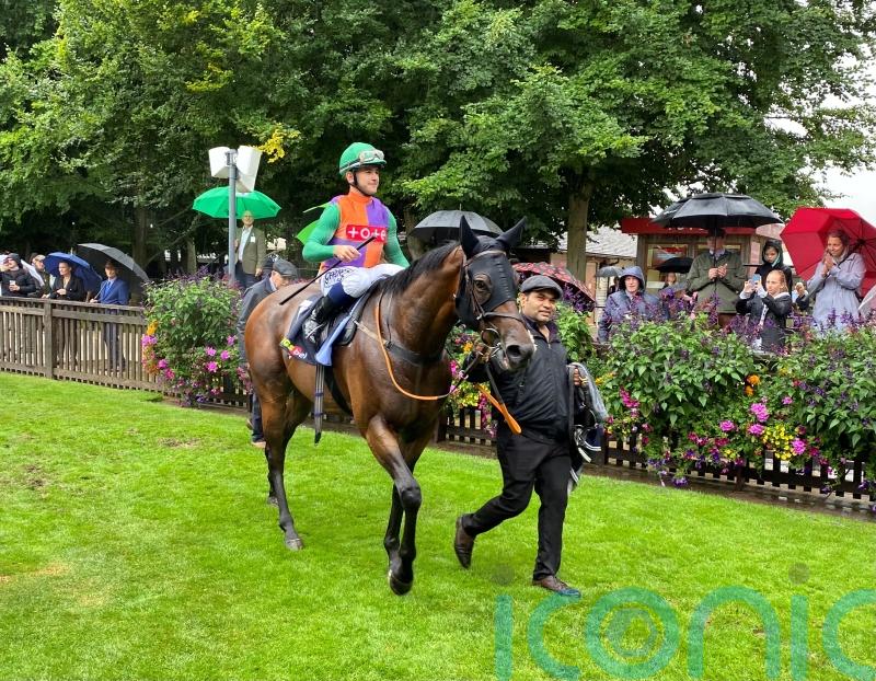 Williams eyeing international options for Hopeful hero Quinault