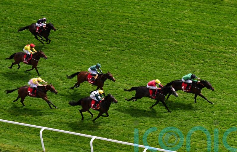 Tutty backing Blue Storm to make Bullet impact