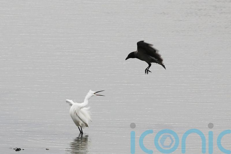 Plan to improve water quality and restore freshwater habitats launched