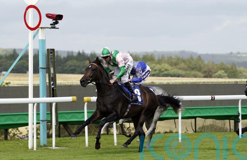 Hills hoping to hit the jackpot at Kentucky Downs again