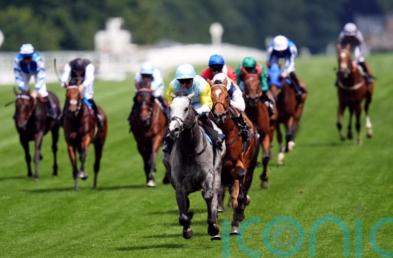 &lsquo;Complete horse&rsquo; Charyn primed for mouthwatering Moulin