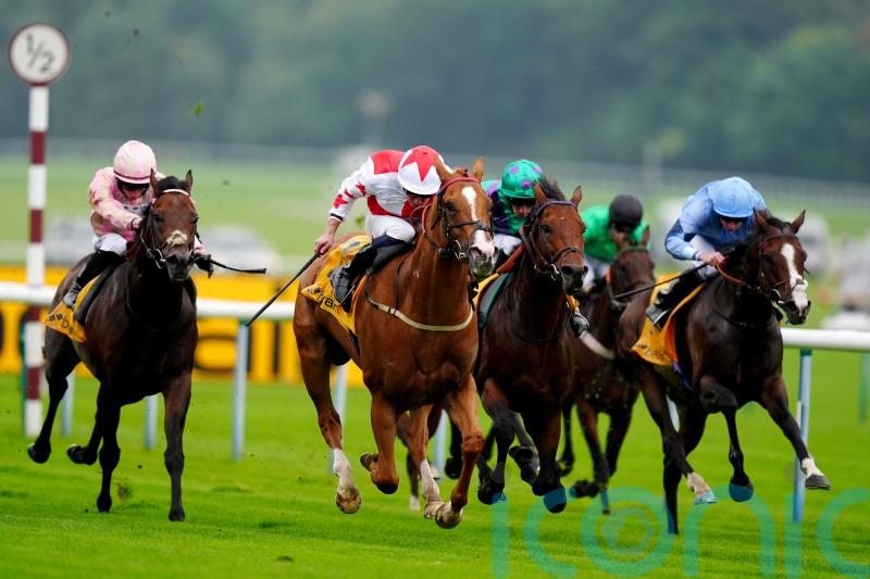 Holloway Boy makes long-awaited return to winner&rsquo;s enclosure