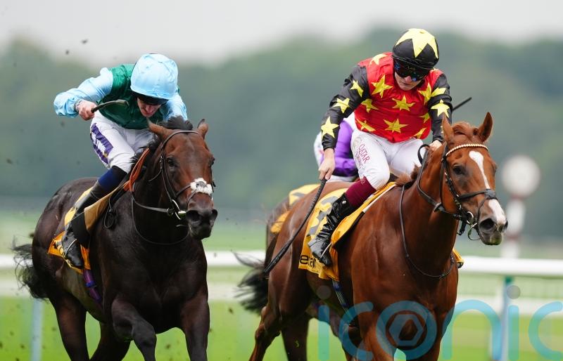 Montassib magic for Haggas and Fallon in Sprint Cup