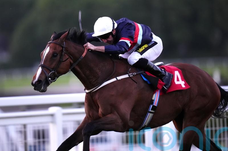 Dual Identity set for another crack at Cambridgeshire success