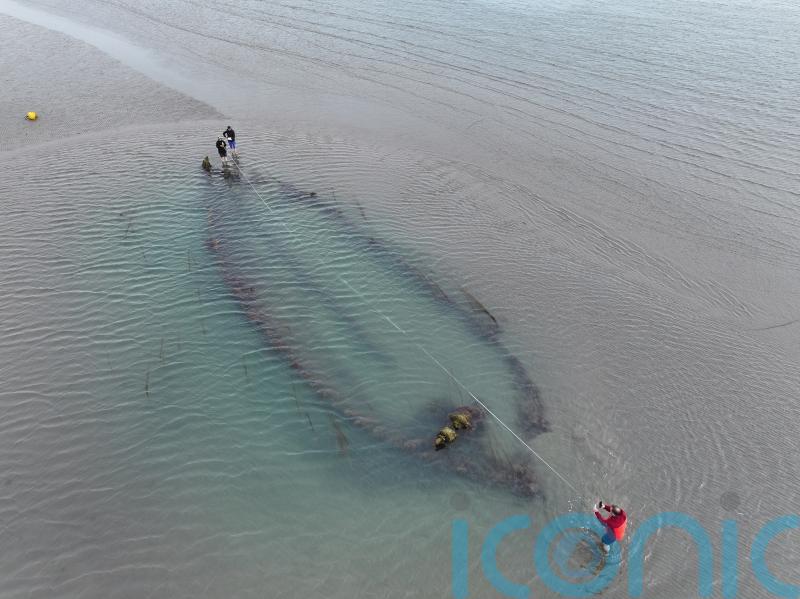 Analysis continues into historical shipwrecks found off Dublin coast