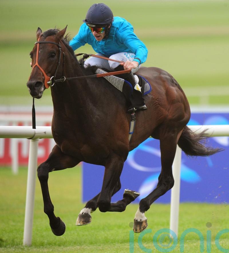 &lsquo;Superstar&rsquo; Brown Panther will always be remembered fondly