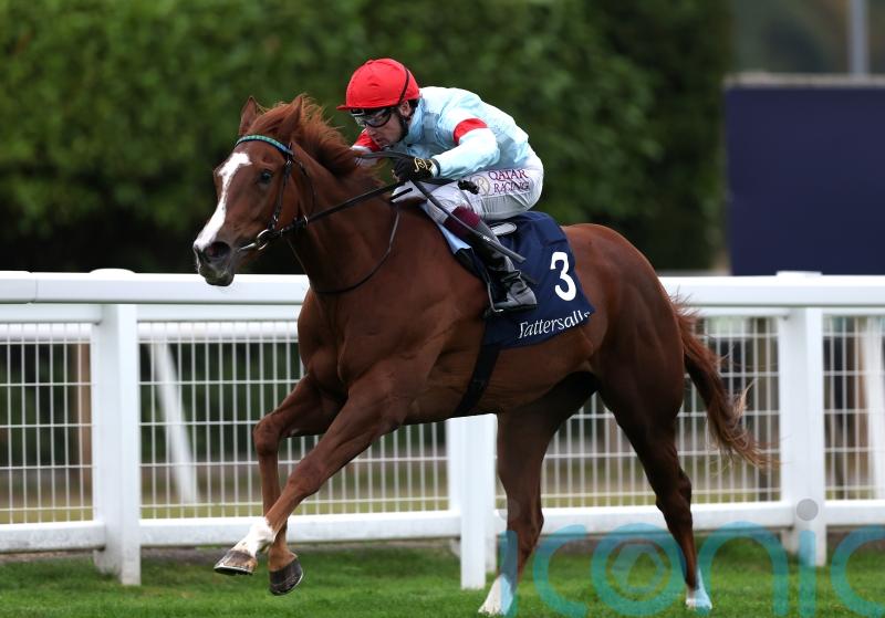 Sangster has Flight ready for May Hill take-off