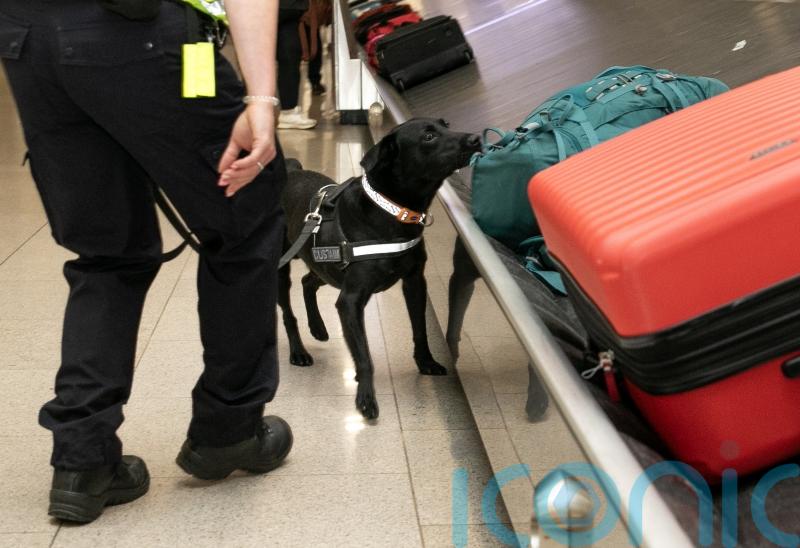 Almost 170m euro in drugs seized by Revenue this year