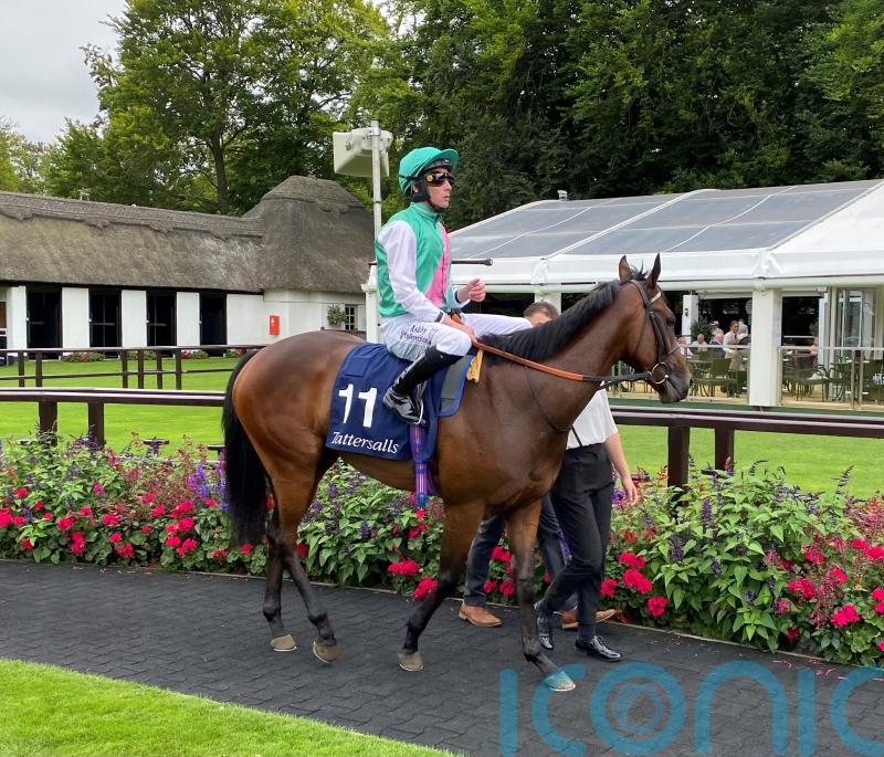 Nice test likely to be next for Salisbury winner Tabiti